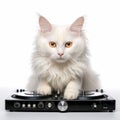 White Cat Dj On Turntable: Consumer Culture Critique In Baroque Fusion