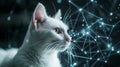 White cat surrounded by glowing network connections Royalty Free Stock Photo