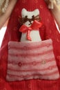 White cat toy with red bow in doll pocket closeup Royalty Free Stock Photo