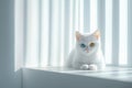 White cat with two different eye colors Ai photo Royalty Free Stock Photo