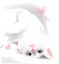 white cat for Valentine's day greeting card
