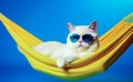 White cat wearing sunglasses laying in yellow hammock. Generative AI