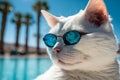 White cat wearing sunglasses on vacation on the beach. 3D illustration collage pet travel rest concept