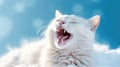 The white cat yawns with his mouth open on a blue background. Generative AI