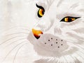 White cat with yellow eyes Royalty Free Stock Photo