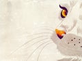 White cat with yellow eyes Royalty Free Stock Photo