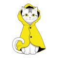 White cat in yellow raincoat