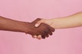 White Caucasian hand and black hand shake hands on pink background. Multiracial respect and understanding concept