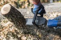 Man cuts trunk with an electric saw