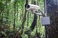 White CCTV surveillance camera security in forest.