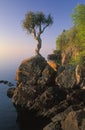 White Cedar Lake Superior