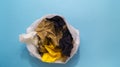 White cellophane bag with garbage on a blue background.