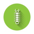 White Centipede insect icon isolated with long shadow. Green circle button. Vector