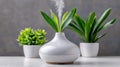 White Ceramic Aroma Diffuser with Green Plants and Steam Royalty Free Stock Photo