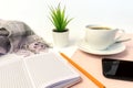 White ceramic cup of coffee, notebook, pencil, green plant and smartphone on white table, covered with pink cloth and woolen scarf Royalty Free Stock Photo