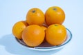 White ceramic dish is filled with many oranges. Royalty Free Stock Photo