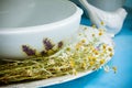 White ceramic kitchenware and chamomiles Royalty Free Stock Photo