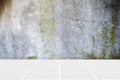 White ceramic mosaic floor and moss concrete wall