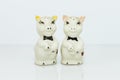 White ceramic pig salt and pepper shakers Royalty Free Stock Photo