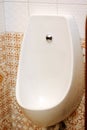 White ceramic pissoir in a classic wc.