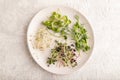 White ceramic plate with microgreen sprouts of green pea, sunflower, alfalfa, radish on gray. Top view