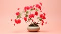 Geranium Bonsai Tree: Graceful Balance In Japanese-style Landscape Royalty Free Stock Photo
