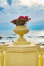 White ceramic pot with red geraniums on the blue sea background in sunny summer day. Copy space. Boats on the port with summer Royalty Free Stock Photo