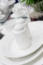 White ceramic saltcellar and pepperbox Royalty Free Stock Photo