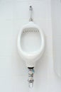 White ceramic sanitary ware