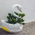 White ceramic swan vase with plants. Royalty Free Stock Photo