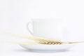 White ceramic teacup with ear of whea Royalty Free Stock Photo