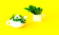 White ceramic teapot and cup with ecological plants on yellow background. The concept of healthy drink. Hello Summer. Creative Royalty Free Stock Photo