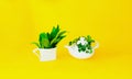 White ceramic teapot and cup with ecological plants on yellow background. Zero waste concept. Close-up Royalty Free Stock Photo