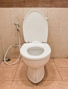 The white ceramic toilet