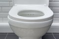 White ceramic toilet bowl in the bathroom interior close-up