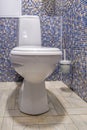 White ceramic toilet bowl in restroom Royalty Free Stock Photo