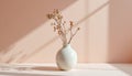 white ceramic vase with no flowers, centered on a soft blush background, overhead light casting circular shadow Royalty Free Stock Photo