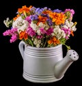 White ceramic watercan, sprinkler, with vivid colored flowers, orange tagetes, purple wild flowers, close up Royalty Free Stock Photo