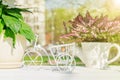 White ceramics flower pot in shape of watering can on the shelf outdoors, Garden or interior decoration