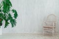 White chair and green home-grown interior room Royalty Free Stock Photo