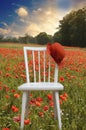 White chair with red hat standing in meadow with red poppies