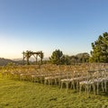 White chairs and Chuppah for a Jewish wedding Royalty Free Stock Photo