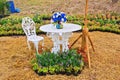 White chairs and table in flower garden Royalty Free Stock Photo