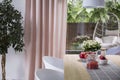 White chairs at table with fruits in dining room interior with plant, pink drapes and window. Real photo Royalty Free Stock Photo