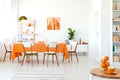 White chairs at table with orange cloth in modern dining room interior with plant and poster