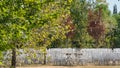 White chairs and tables in the autumn nature among the trees, outdoor event Royalty Free Stock Photo