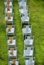 White chairs in the wedding party