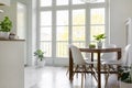 White chairs at wooden table with plant in bright dining room in Royalty Free Stock Photo