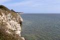 The white chalk cliffs of Stevns Klint, Denmark seen from the top on a sunny summer day Royalty Free Stock Photo