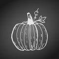 White chalk outline of pumpkin on dark blackboard